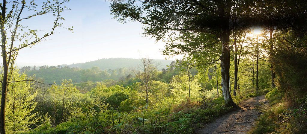 Hotels, Cottages, B&Bs & Glamping in Surrey - Cool Places to Stay in the UK