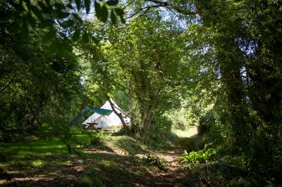 Railway 6 - Wild Camping - Private Pitch