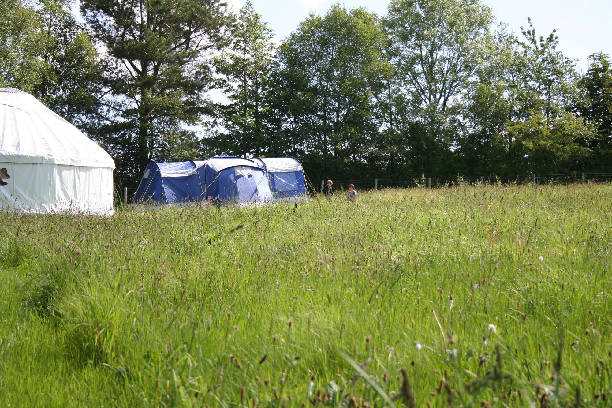 Campsites in Ceredigion – Top-rated Ceredigion campsites – Cool Camping