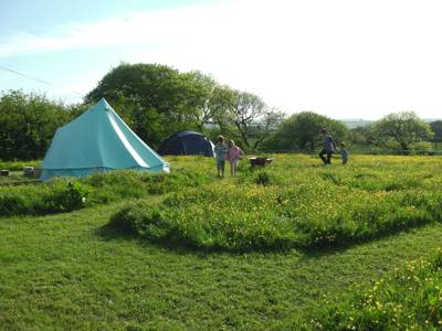 Small-scale camping and glamping on a 33-acre Cornish farm with separate meadows ensuring space, peace and privacy.