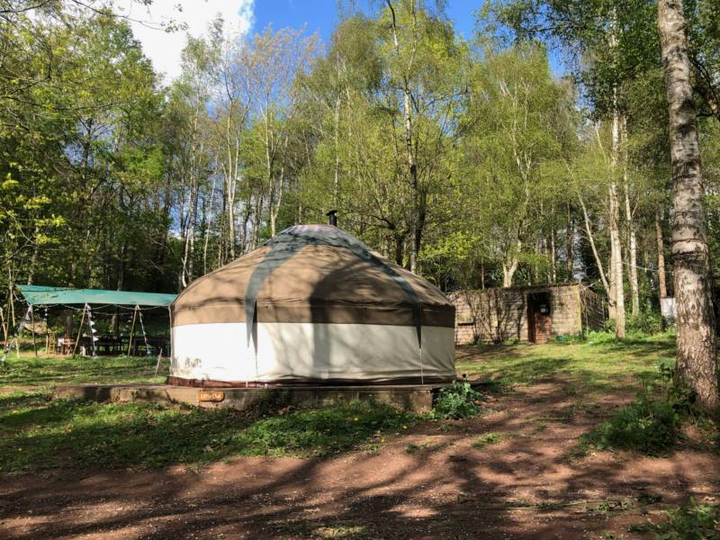 Little Owl Yurt