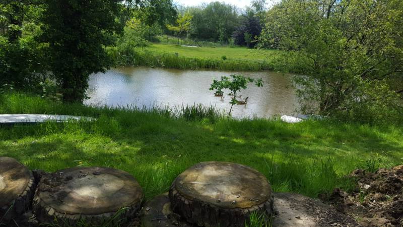 'The Hive'  Geo Dome