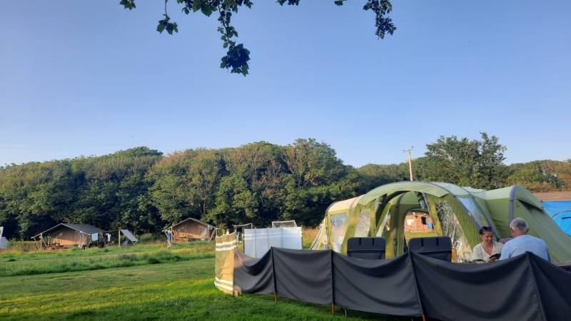 Grass Pitch 4 (optional electric hook-up)