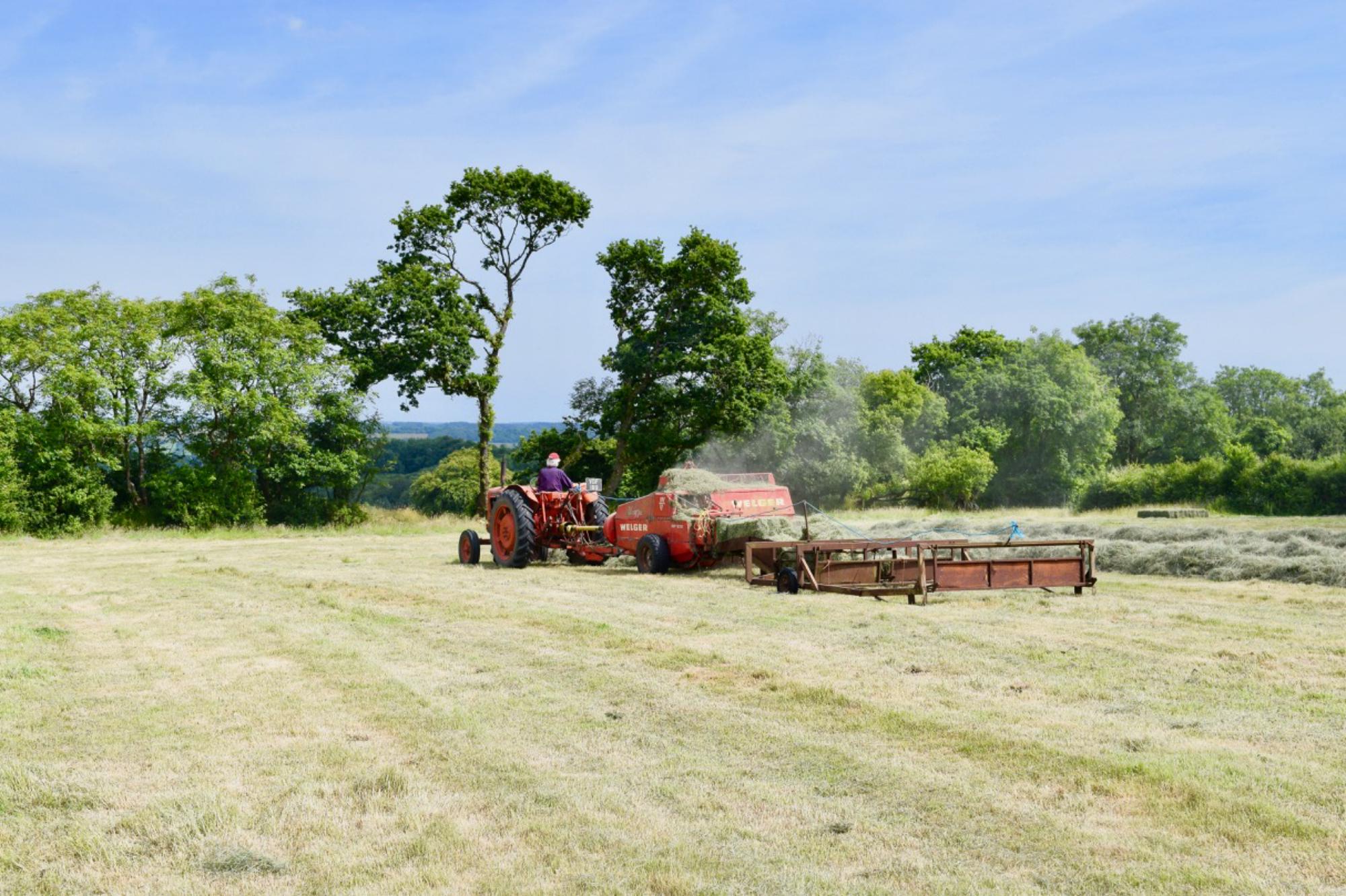 Glamping in Honiton – Cool Camping