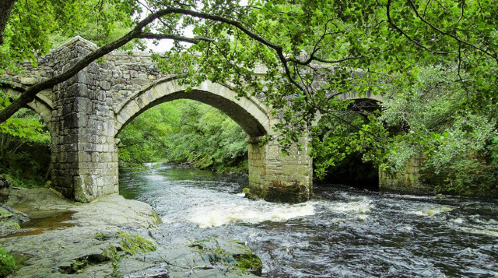 Fountain Violet Farm, Dartmouth
