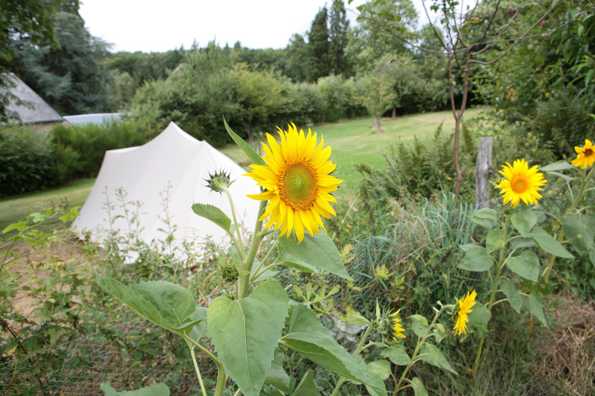 Campsites in France | The Best French Camping Sites