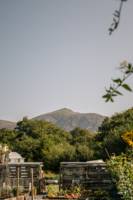 The Orchard