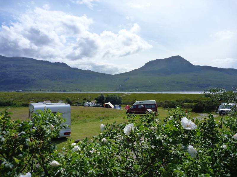 Grass pitch Electric Hookup(6m vehicle limit)