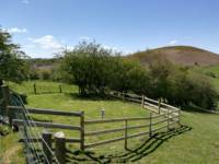 Cae Bell Secluded Tent Pitch