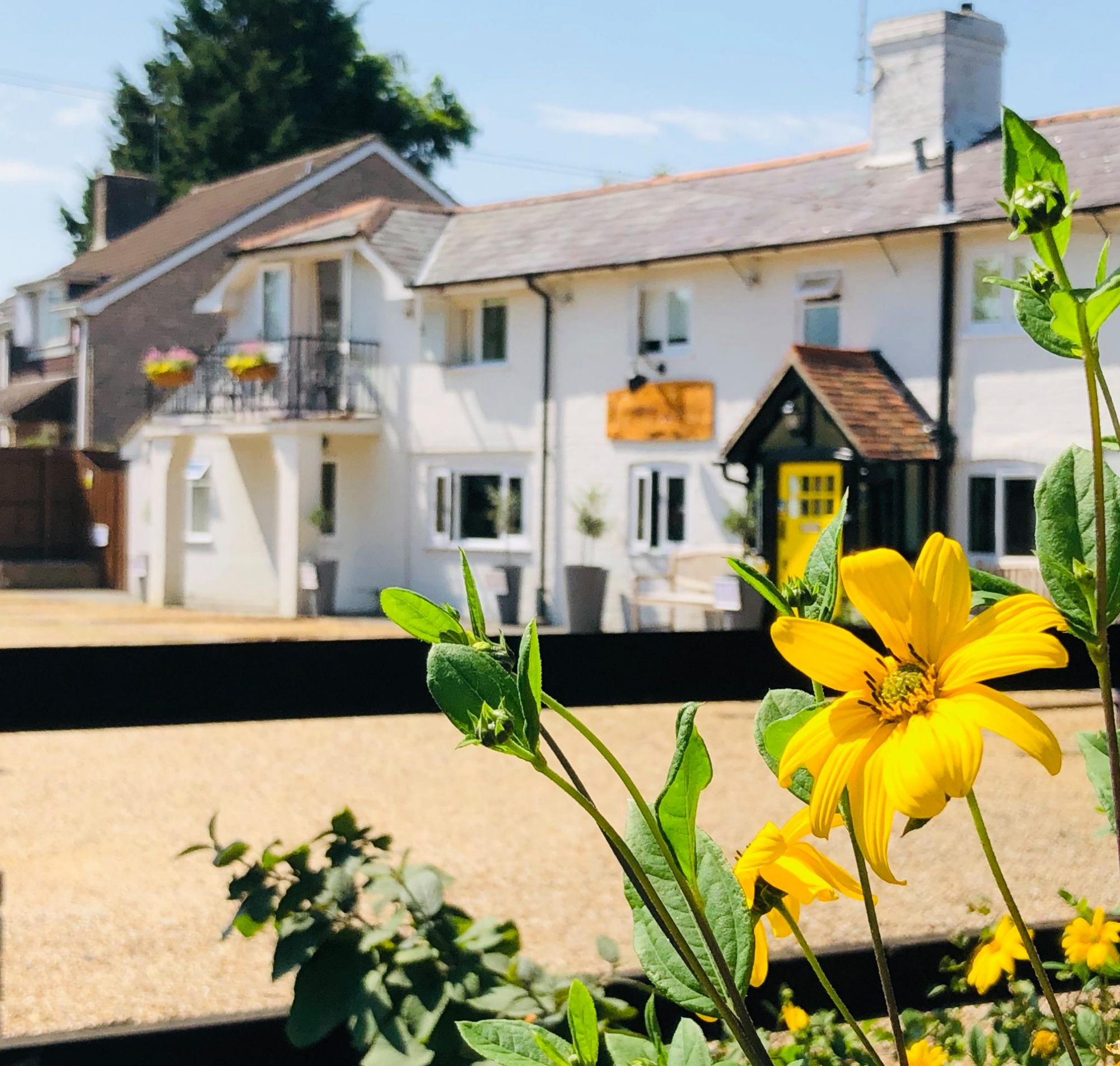 Cottage Lodge Hotel, Brockenhurst