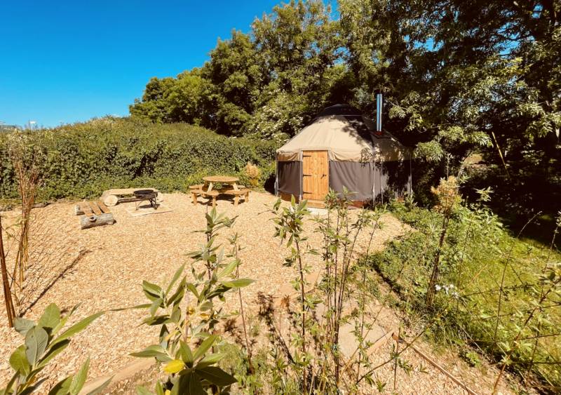 Ragwort Yurt
