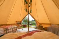 Rosie's Tent