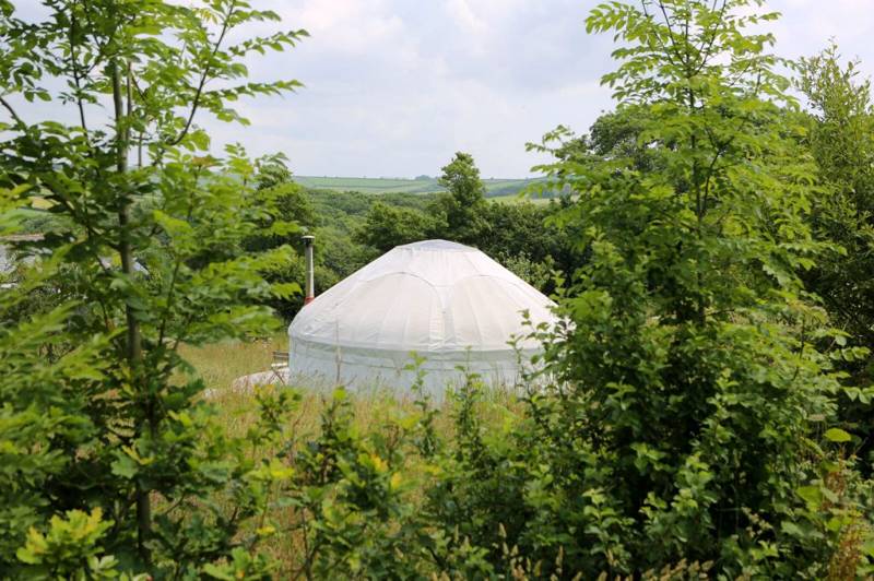 Yurt 'Gribben'