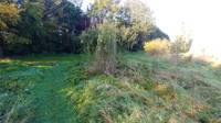 Orchard pitch