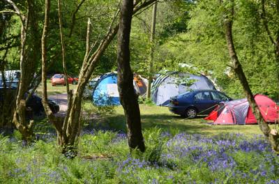 Electric Grass Pitch