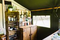 The Ivy Lodge