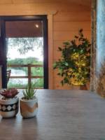 Evergreen Lodge Log Cabin