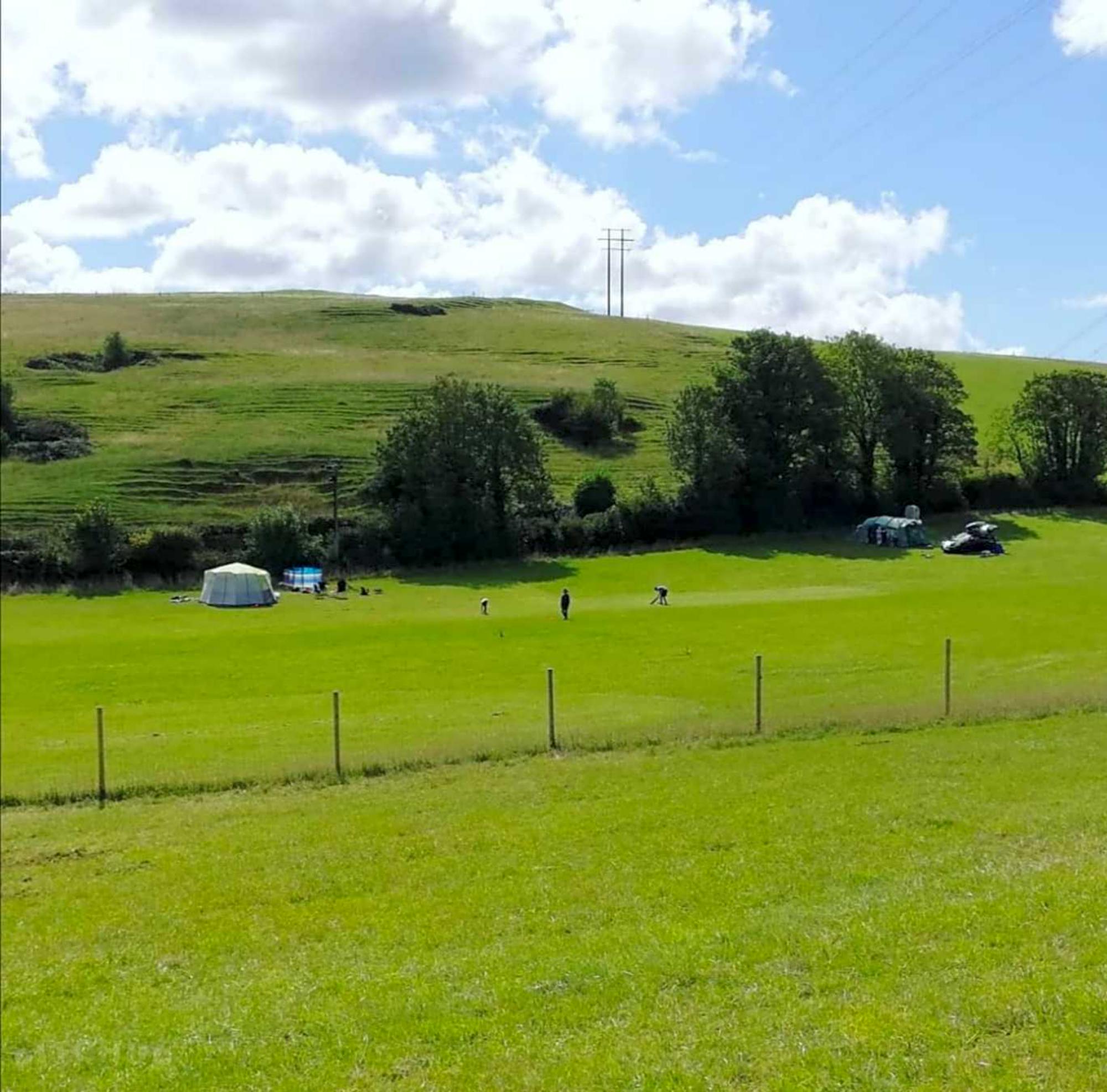 Grass Pitch 1 at Friar Waddon House Cool Camping (26611)