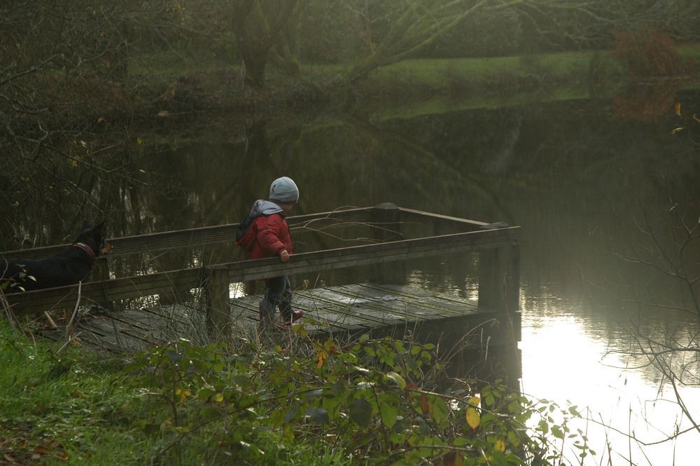 Family-friendly cottages and holidays