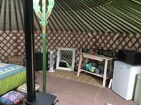 Bertie the Yurt