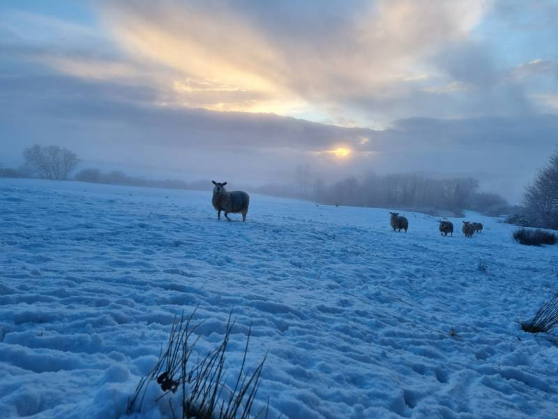 Crinkly Cabin with Sauna and Hot Tub