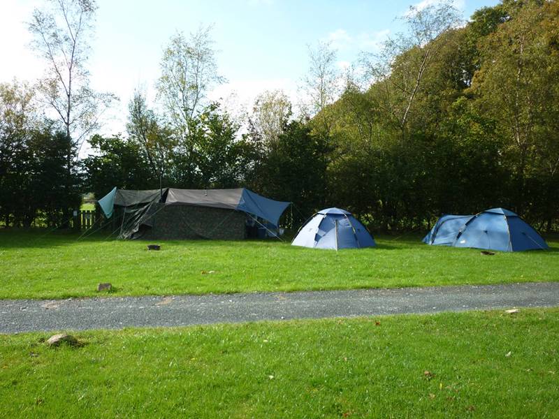 Grass pitch – EHU (Tents only)