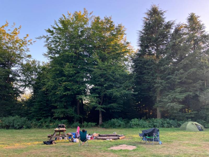 Double Woodland Meadow Pitch