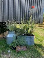 Shepherd's Hut