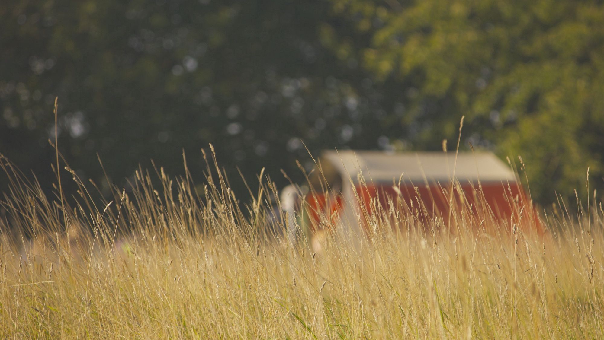 Campsites in Norfolk – Best Camping Sites in Norfolk