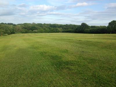 A family-run, working farm in East Sussex offering spacious, traditional camping with no set pitches.