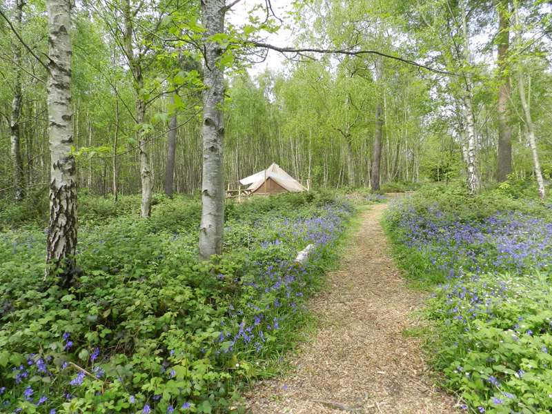 'Wild Glamping' Tent