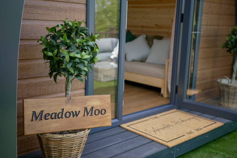 Meadow Moo