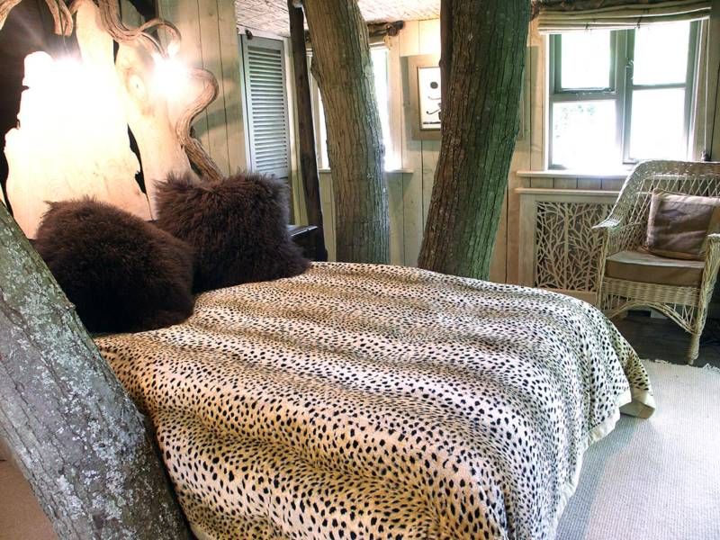 The Tree House at Castle Cottage