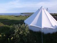 Dandelion Bell Tent