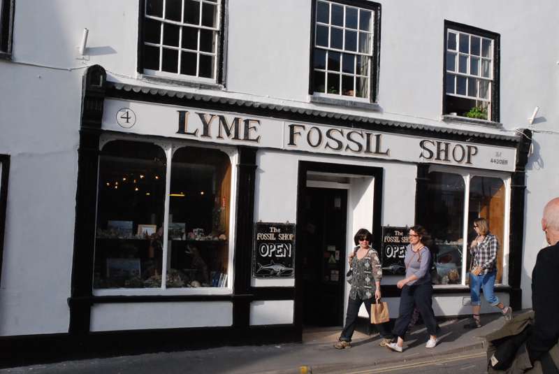 Lyme Fossil Shop