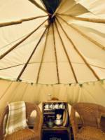 Bramble Tipi